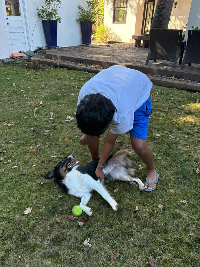 Pup having fun during dog sitting stay in Menlo Park